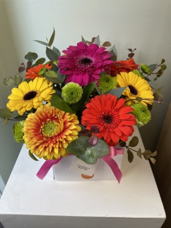 Bright Gerberas